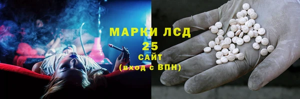 прущий лед Алзамай