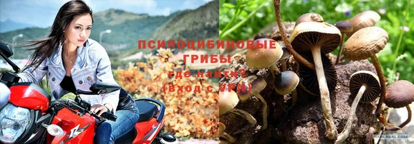 каннабис Алексин