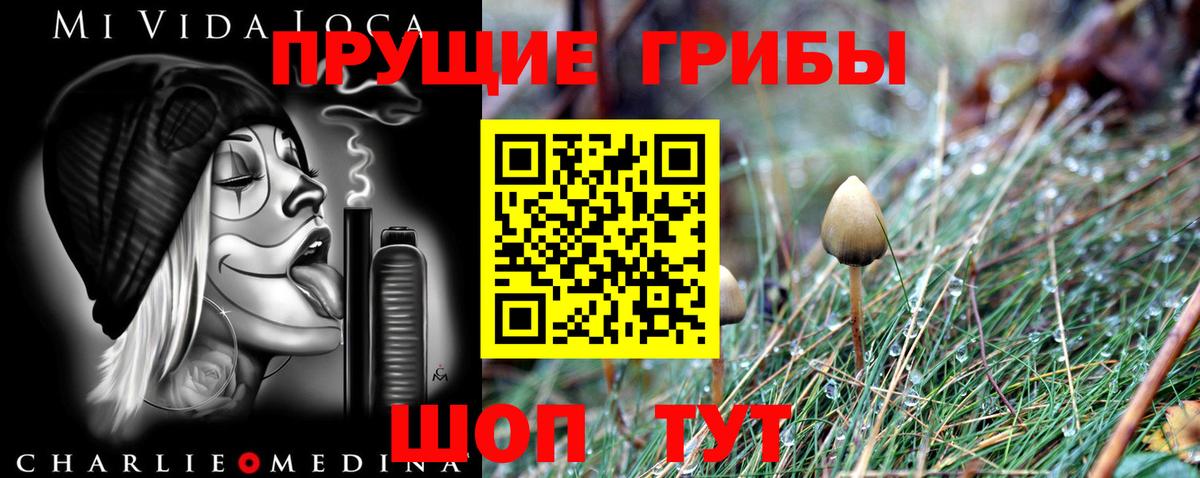 Красноармейск  Галлюциногенные грибы GOLDEN TEACHER  Вход с VPN 