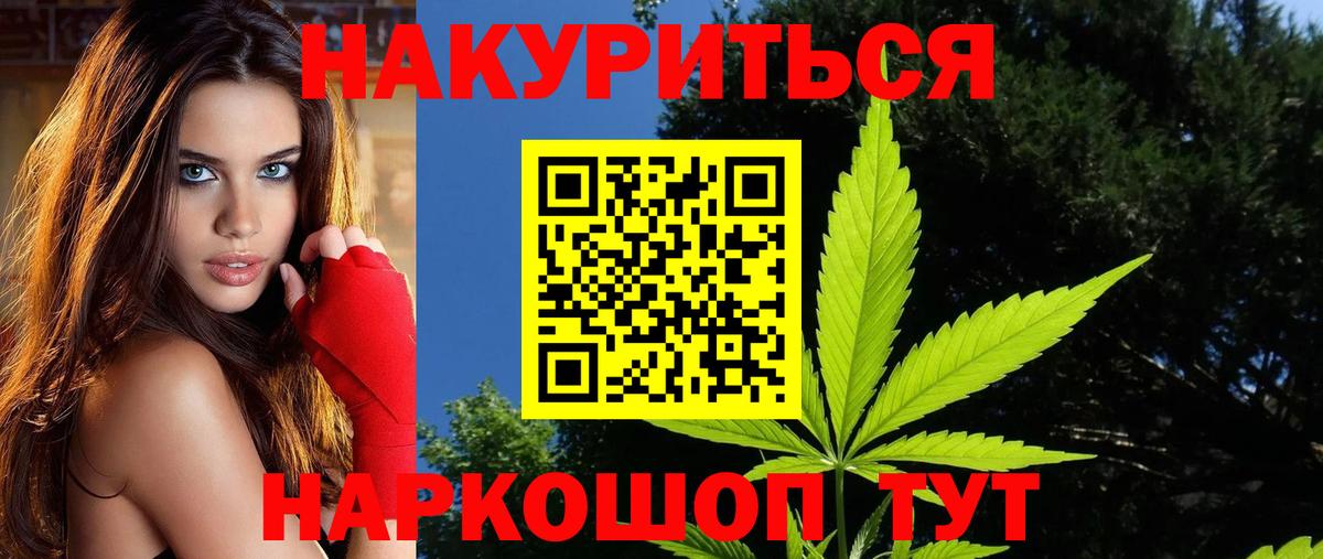 Конопля сатива Красноармейск